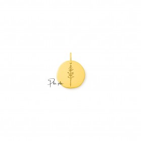 Colgante Pita en plata dorada de ley – 12 mm