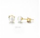 PENDIENTES PLATA DORADA PERLA BLANCA - 244/PE00530DO